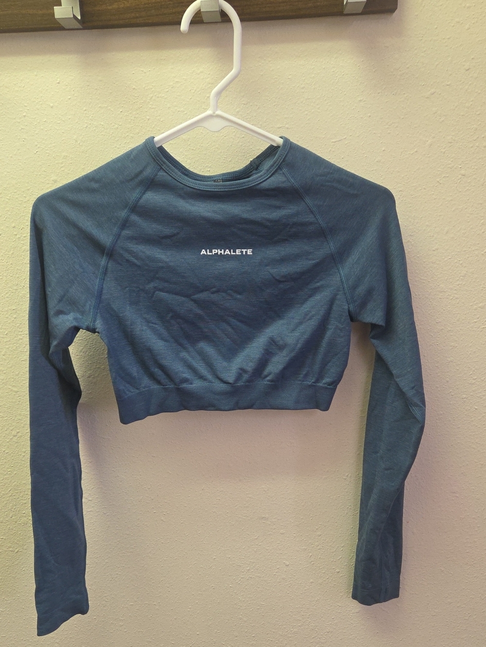 Alphalete Teal Cropped Long Sleeve Top